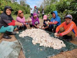 Mondelez dan OFI Berkolaborasi Untuk Ciptakan Pertanian Kakao di Pulau Seram
