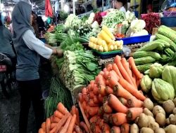 Sejak Pandemi COVID-19 Pendapatan Pedagang Sayur di Pasar Binaya Masohi Menurun Drastis