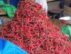 Harga Cabai yang Dijual di Pasar Mardika Cenderung Naik