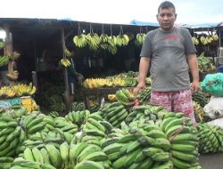 Harga Pangan Lokal Mengalami Penurunan di Pasar Mardika dan Batu Merah