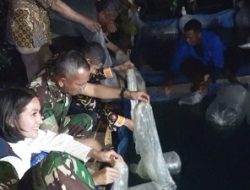 Pangdam XVI/Pattimura Tebar 17.000 Benih Ikan