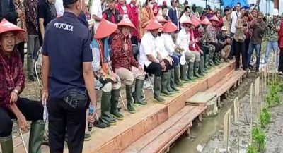 Gubernur Maluku Tanam Bibit Padi Perdana di Kabupaten Buru