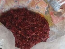 Harga Cengkih di Kota Ambon Naik Rp120.000 Per Kilogram