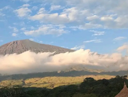 Tim TNGR Turun Langsung Padamkan Kebakaran Lahan di Kawasan Gunung Rinjani