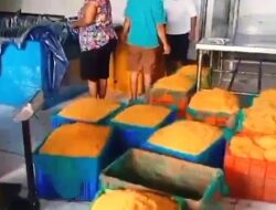 Maraknya Eksploitasi Ilegal Telur Ikan Terbang di Tanimbar