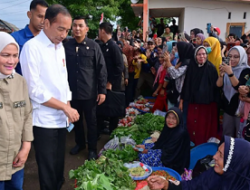 Antusiasme Warga Sambut Presiden Jokowi dan Ibu Iriana di Pasar Bulukumba
