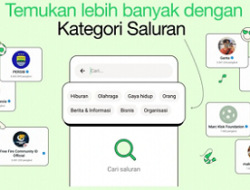 WhatsApp Perkenalkan Fitur Kategori Saluran untuk Kemudahan Pengguna