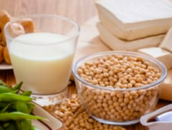 Pilihan Makanan Tinggi Protein Terbaik untuk Bantu Turunkan Berat Badan