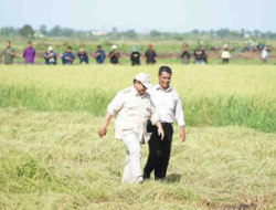 Presiden Prabowo Bersama Mentan Tinjau Lahan Pertanian di Merauke