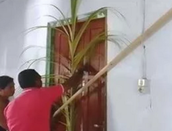 Warga Alusi Batjas Segel Kantor Desa, Tolak Bendahara yang Terlibat Skandal