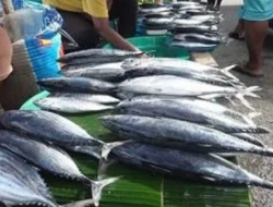Harga Ikan di Pasar Melonjak Drastis, Konsumen Mengeluh