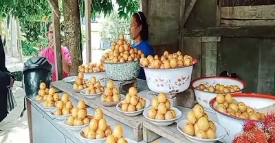 Buah Gandaria Ramaikan Pasar Tradisional di Ambon 1 gandaria