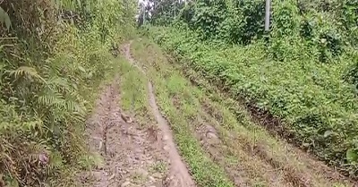 Jalan Pegunungan