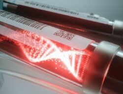 Duh! Ilmuwan Ketar-ketir usai Temukan Virus Otak Mematikan pada Kelelawar China