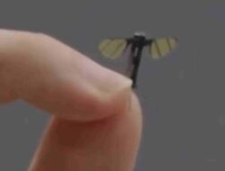 China Bikin Drone Mata-mata Mungil Seukuran Nyamuk