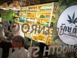 Ganja Tak Lagi Bebas, Toko-Toko di Thailand Bersiap Merugi