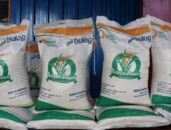 Bansos Beras Mulai Diguyur, Setiap Keluarga Dapat 20 Kg