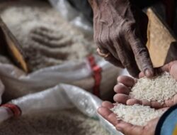 Harga Beras dan Cabai Rawit Merah Masih Tinggi