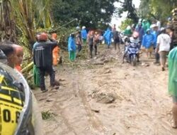 Akses Jalan di Nusaniwe Ambon Lumpuh Akibat Hujan Deras dan Pohon Tumbang