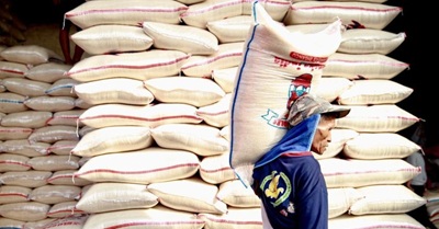 harga beras