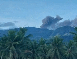 Gunung Dukono Erupsi, Semburkan Abu Vulkanik Setinggi 400 Meter