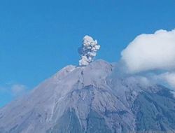 Gunung Semeru Empat Kali Erupsi Pagi Ini, Kolom Abu Capai 800 Meter