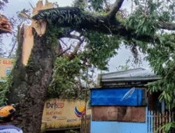 Topan Bualoi Terjang Vietnam: 12 Orang Tewas, 17 Nelayan Hilang, Ribuan Dievakuasi