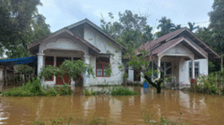 34 Desa di Aceh Jaya Terendam Banjir, 5.000 Warga Terdampak