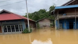 Ratusan Rumah di Kapuas Terendam Banjir, Warga Mulai Mengungsi
