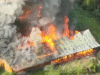 KKB Bakar Lagi Gedung Sekolah di Kiwirok