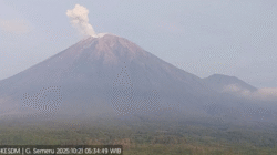 Gunung Semeru Enam Kali Erupsi, Kolom Abu Capai 700 Meter