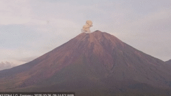 Gunung Semeru Erupsi Lagi, Kolom Abu Capai 700 Meter 3 Gunung Semeru Erupsi Lagi, Kolom Abu Capai 700 Meter