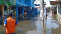 307 Warga Cilacap Mengungsi Akibat Banjir dan Tanggul Jebol