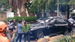 Pengemudi Lexus Tewas Tertimpa Pohon di Pondok Indah 4 Pengemudi Lexus Tewas Tertimpa Pohon di Pondok Indah