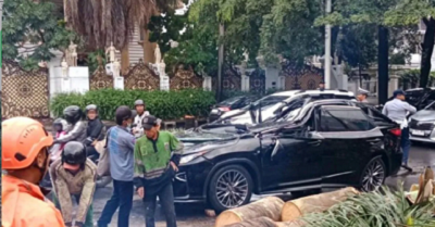 Pengemudi Lexus Tewas Tertimpa Pohon di Pondok Indah 1 Pengemudi Lexus Tewas Tertimpa Pohon di Pondok Indah